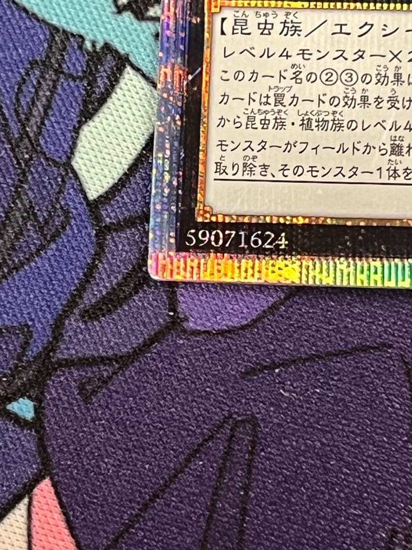 遊戯王 アロメルスの蟲惑魔 20thシク