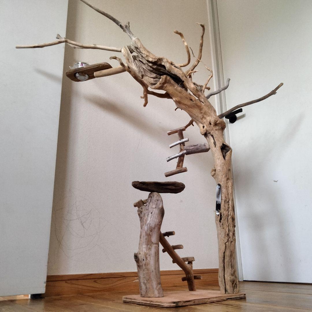 おつぶバードアスレチックジム㊽ 天然木 自然木 流木 止まり木 インコ