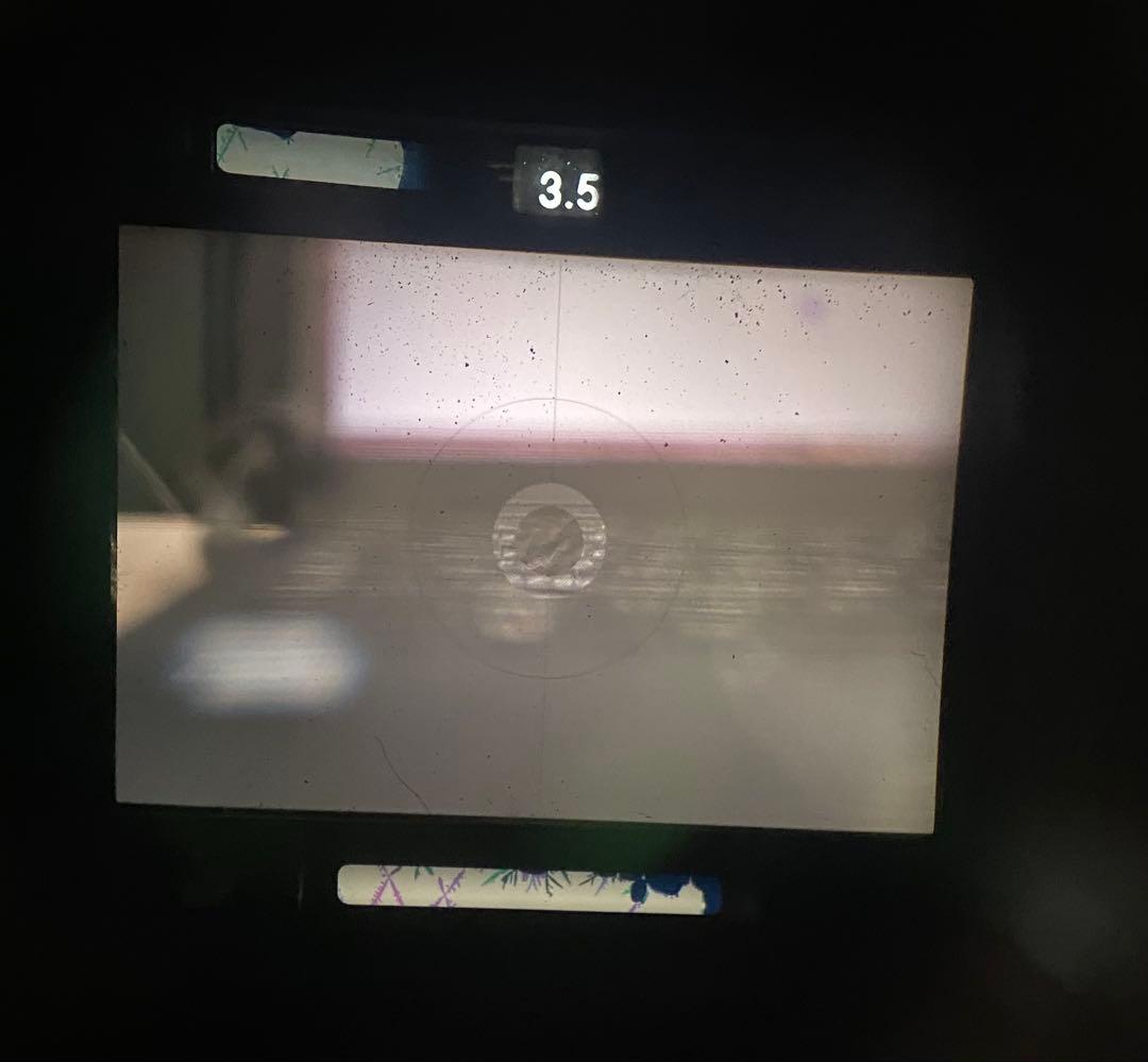 フィルムカメラ NIKON F4