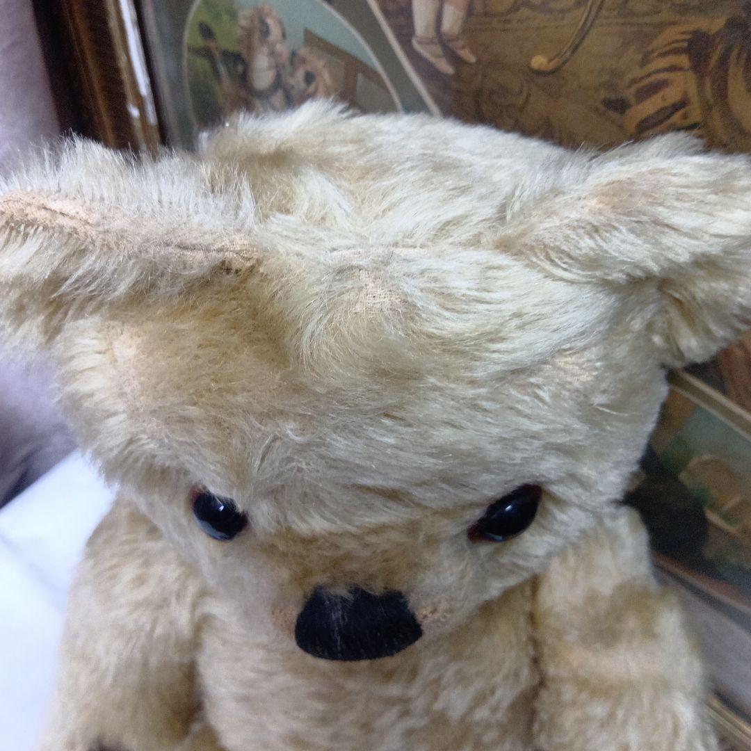 チコちゃん♥イギリスからやって来たクリクリお目目のアンティークチャドバレー