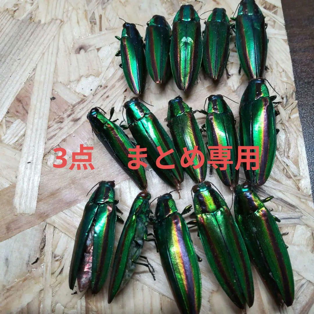 ジュンジュン　3点おまとめ依頼品
