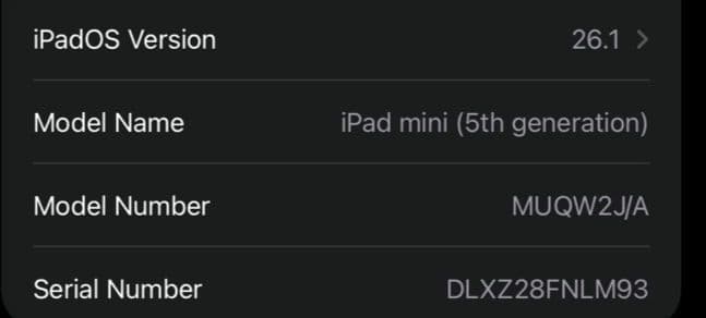 iPad mini5 WiFiモデル 64GB スペースグレー