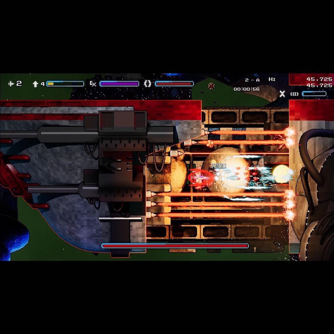 Schildmaid MX シールドマイド MX 限定版 switch スイッチ