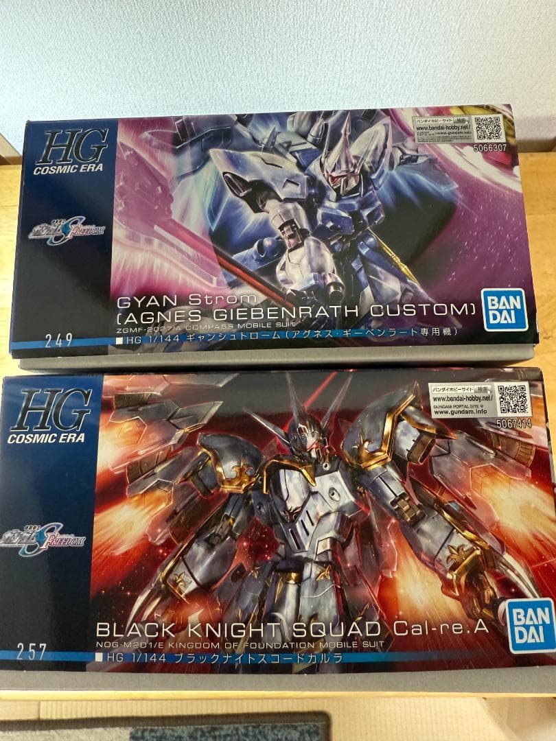 【未組立】ガンプラ HG ブラックナイトスコードカルラ＆ギャンシュトローム