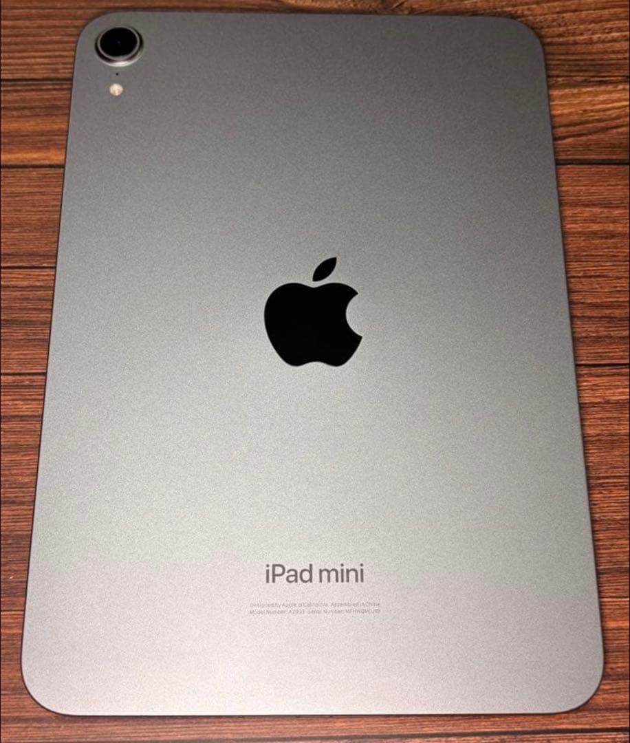 早いもの勝ち　Apple iPad mini 7