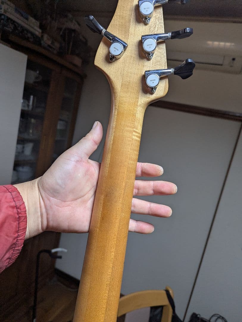 Bacchus5弦パッシブジャズベース　ハンドメイドWOODLAND日本製中古品