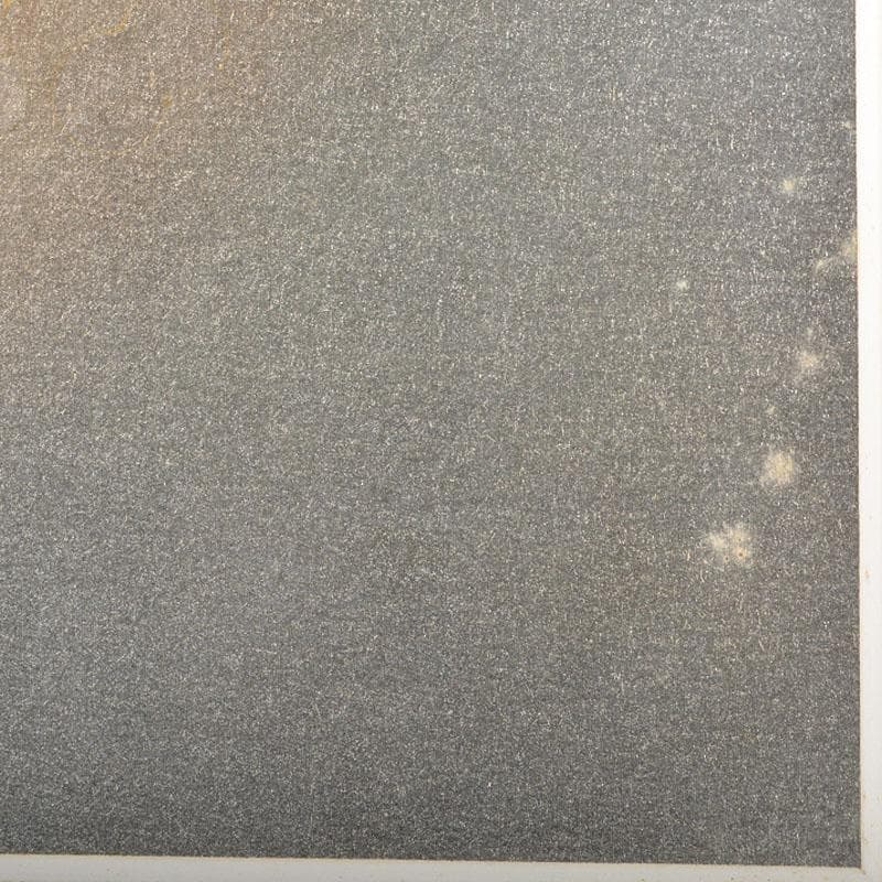 漆芸作家　尾長保作　漆絵　「海老」　額装　C　4398B