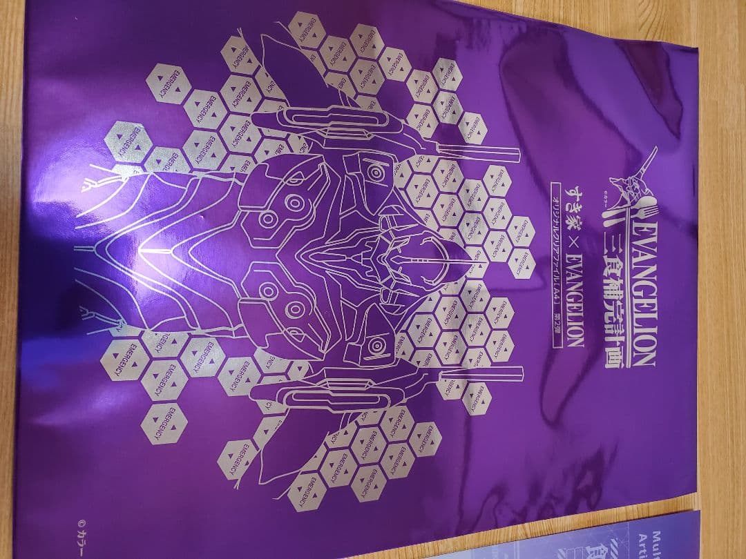 クリアファイル エヴァンゲリオン Clear file Evangelion