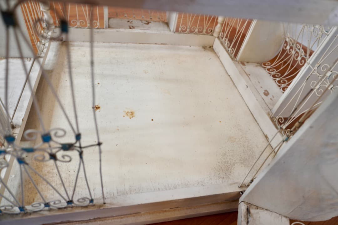 ヴィンテージ 特大鳥かご 高さ1m バードケージ