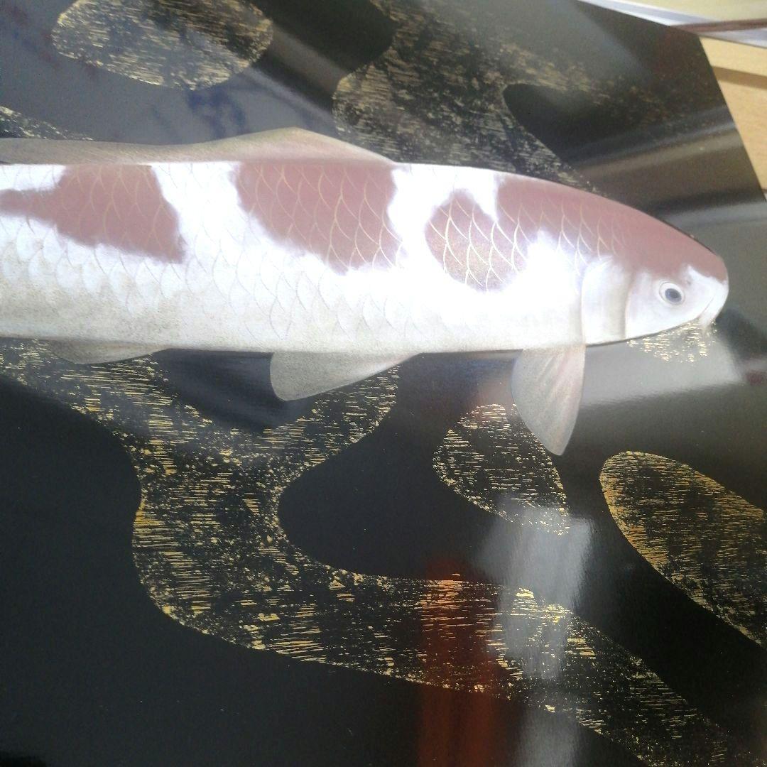 稲元実? 沢田実? 鯉 写実 絵画 色彩 水彩 油彩 F6サイズ