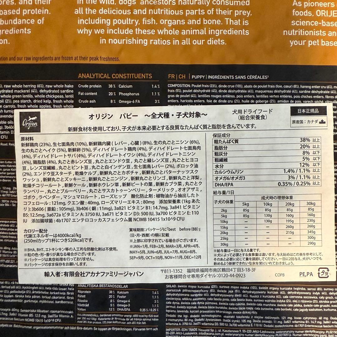 ORIJEN オリジン パピー ドッグ 【6kg】2025/07