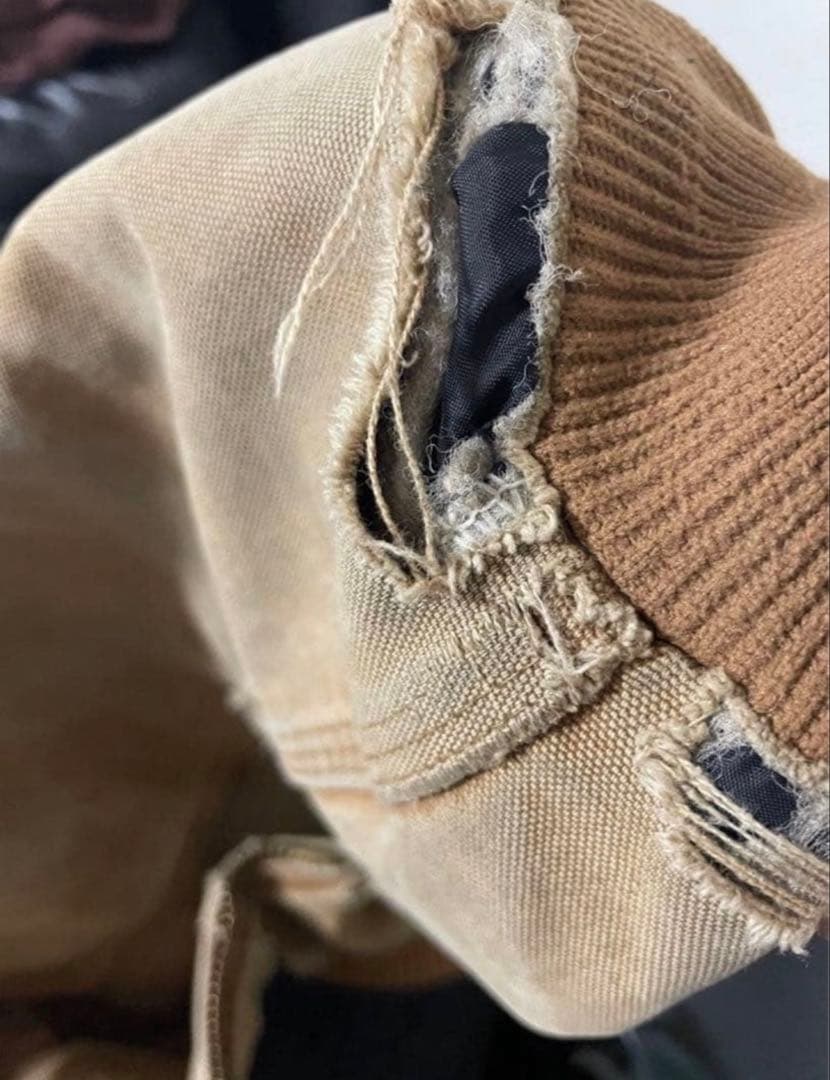 【しば犬】Carhartt ダックジャケット