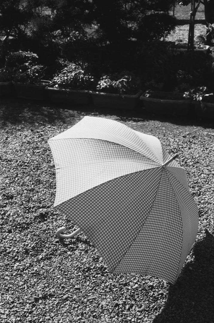 ライカ IIIf ELC とjupiter8セット (作例有)