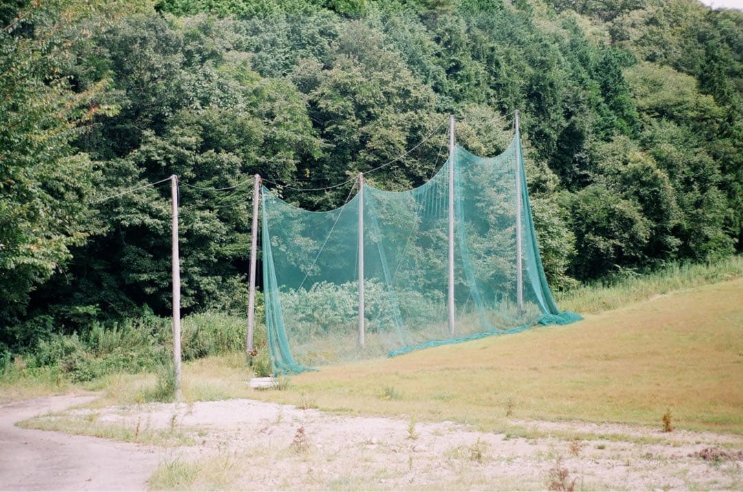 ライカ IIIf ELC とjupiter8セット (作例有)