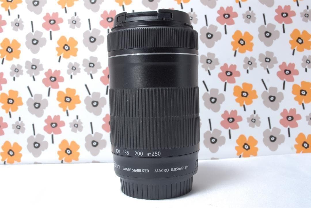 ❤Canon EF-S 55-250mm IS STM❤とても美品❤望遠レンズ❤