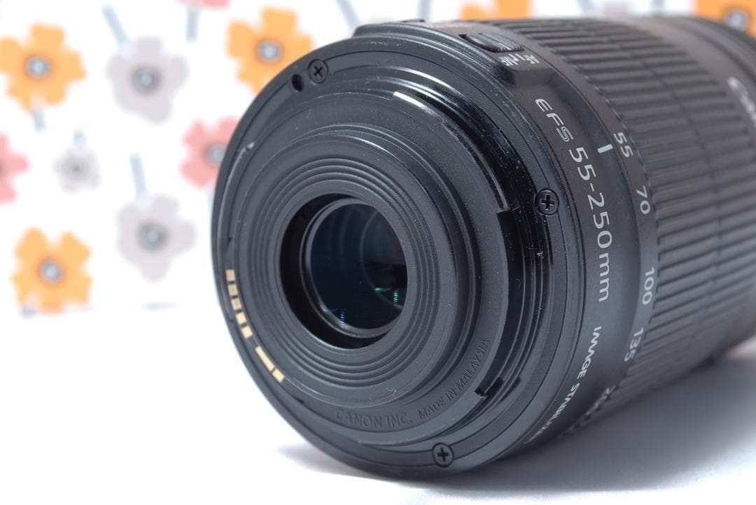 ❤Canon EF-S 55-250mm IS STM❤とても美品❤望遠レンズ❤