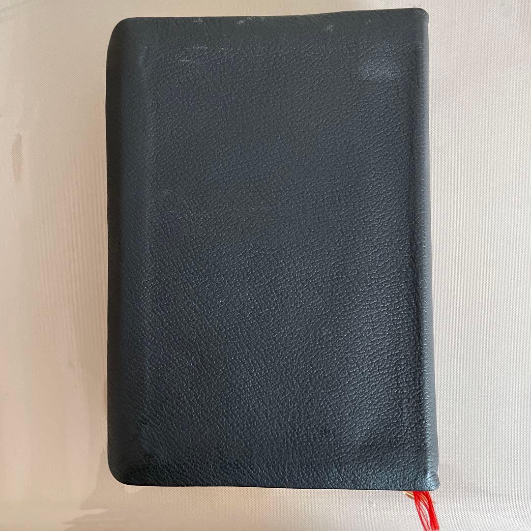 聖書 新改訳2017 黒