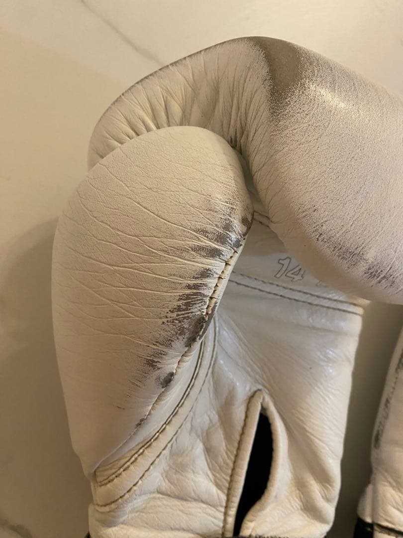 taro　Winning プロフェッショナル用14オンスグローブ