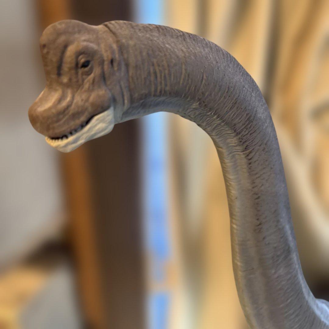 特大　恐竜　2体　ティラノサウルス　首長恐竜　ディスプレイ　フィギュア