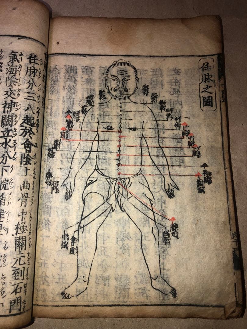 トリ親子様 リクエスト 2点 まとめ商品