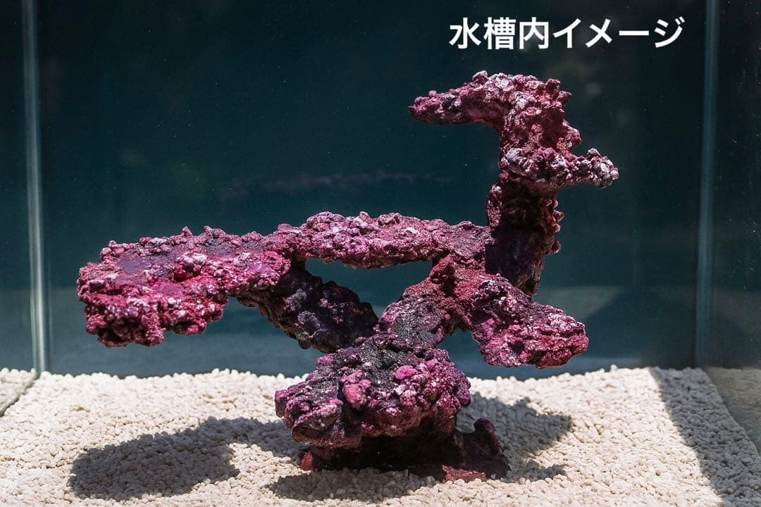 人工ライブロック RR77 アク抜き済み安心塗料使用