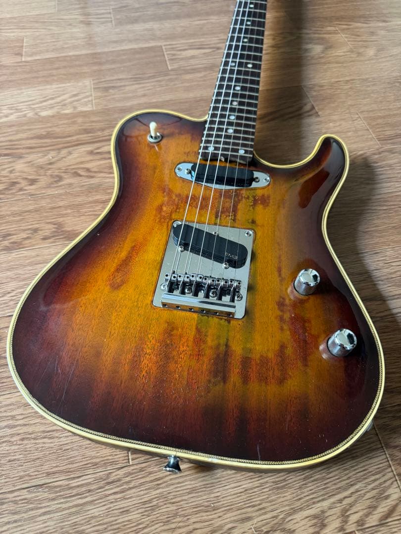 Valley Arts m Series Deluxe TLタイプ