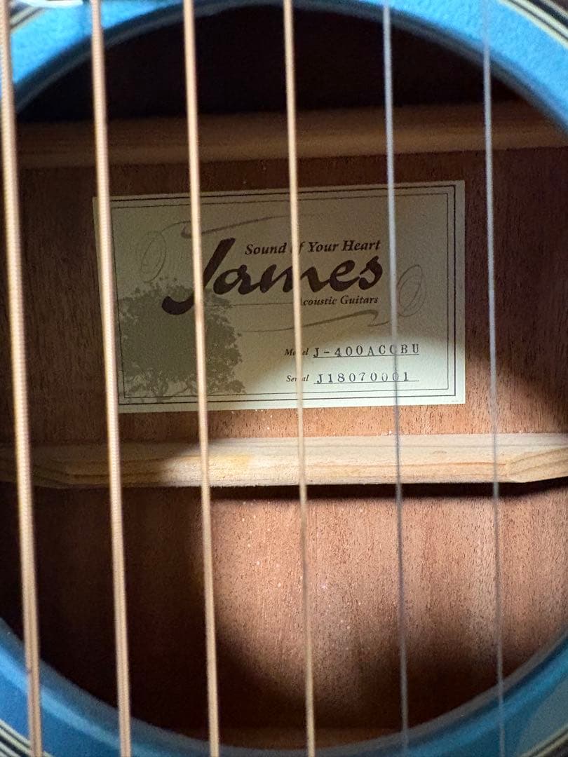 エレアコ　アコースティックギター　James J-400ACCBU