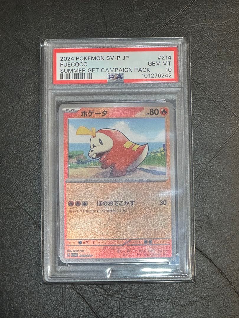2024 ポケモンカード ホゲータ #214 GEM MT psa10