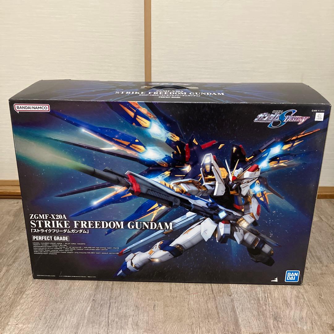 ⚠️ジャンク品！ZGMF-X20A ストライクフリーダムガンダム PG