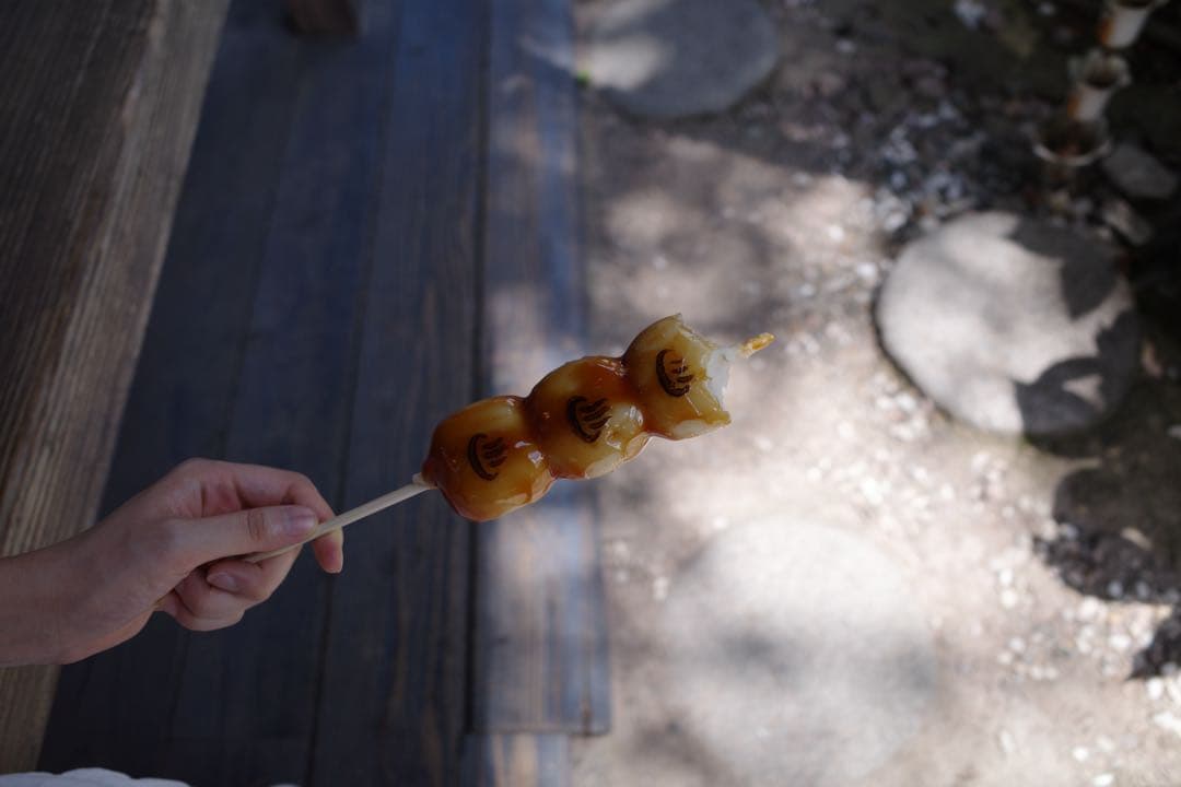 Panasonic HC-VX2M 4Kビデオカメラ＆アクセサリーキット