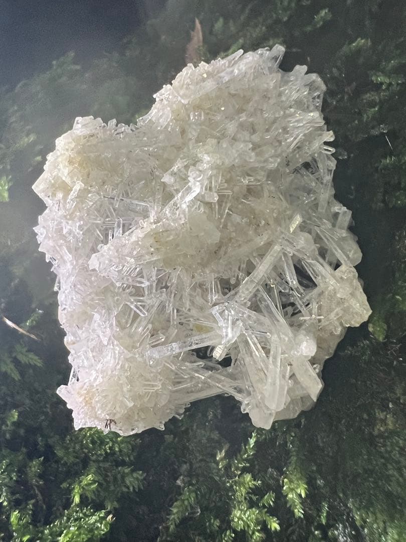 龍脈の精髄 ⭐︎国産クラスター ⭐︎ 「聖域を生む結晶の調和」