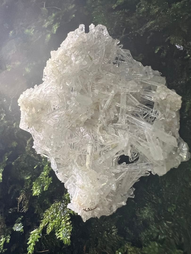 龍脈の精髄 ⭐︎国産クラスター ⭐︎ 「聖域を生む結晶の調和」