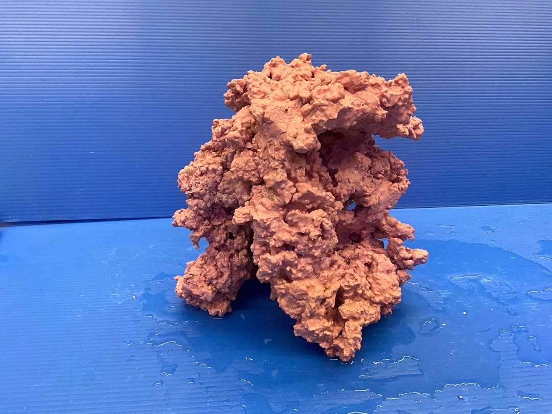 人工ライブロック　No.40. 無害化処理済