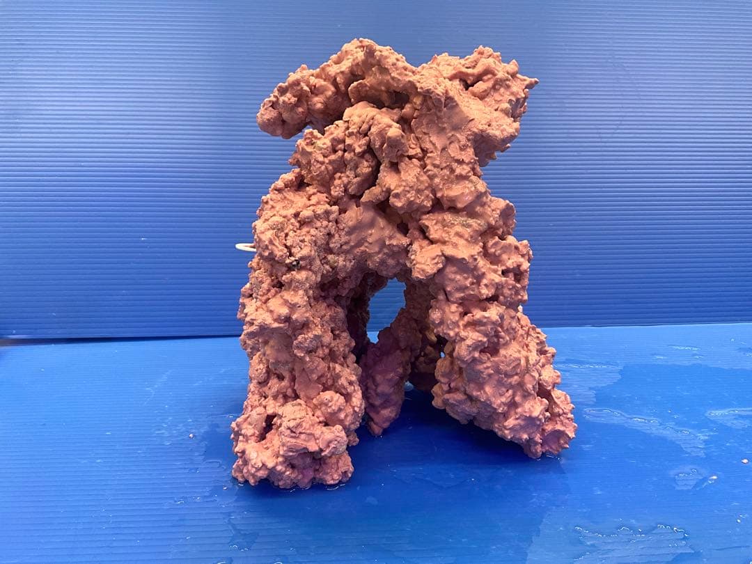 人工ライブロック　No.40. 無害化処理済