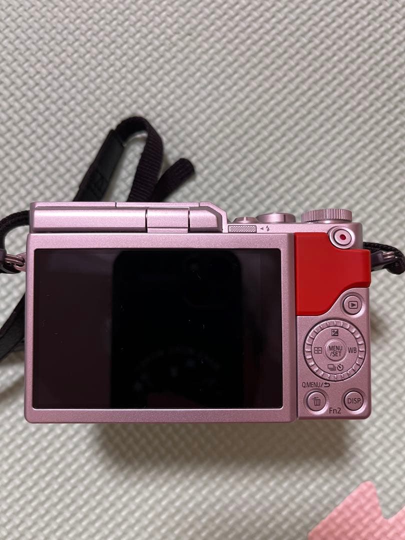 Panasonic LUMIX DC-GF9W デジタル一眼レフ