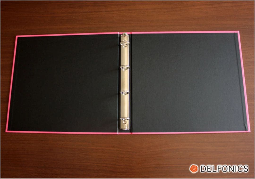 廃盤品　デルフォニックス　アルバム　Lサイズ　2冊　リフィル40枚セット