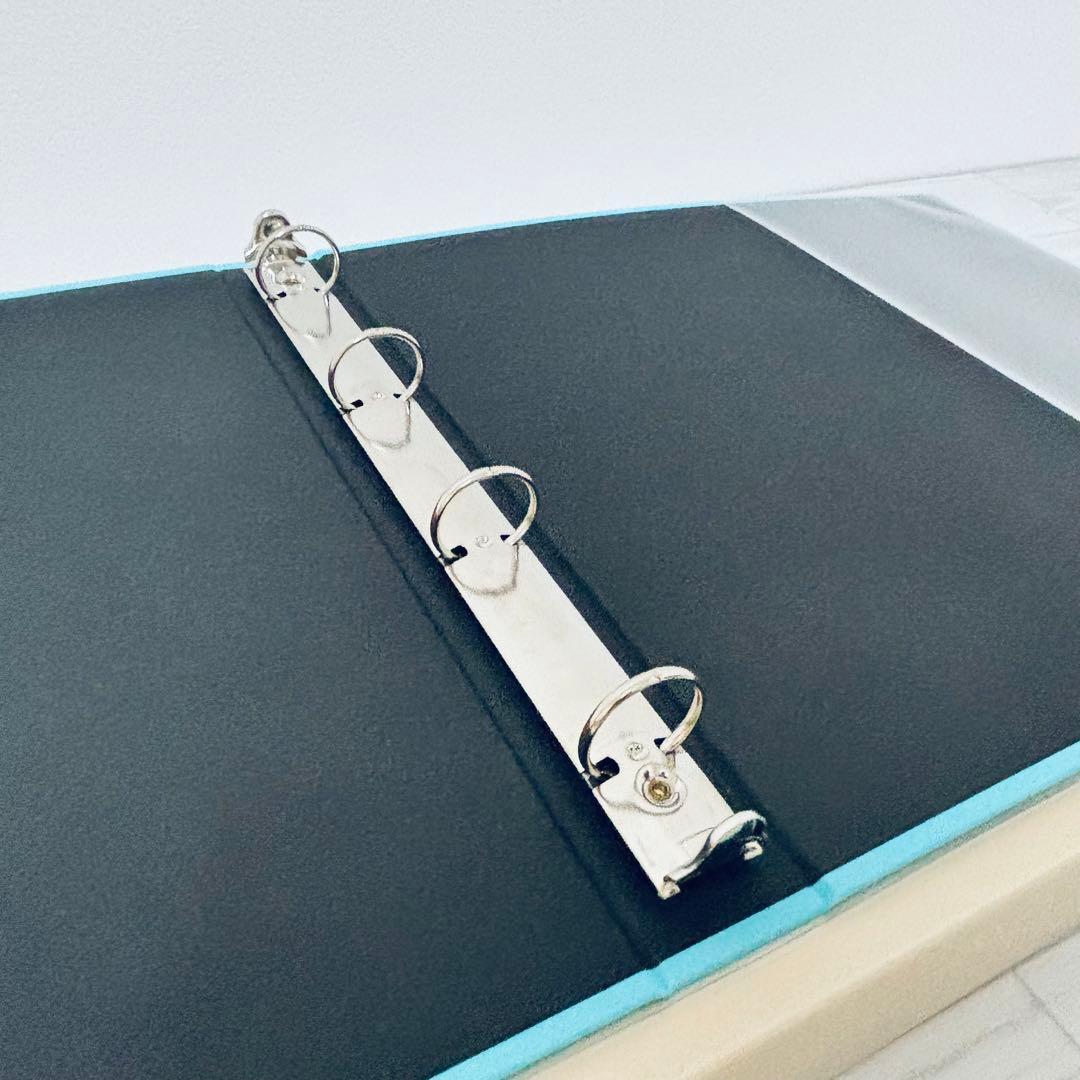 廃盤品　デルフォニックス　アルバム　Lサイズ　2冊　リフィル40枚セット