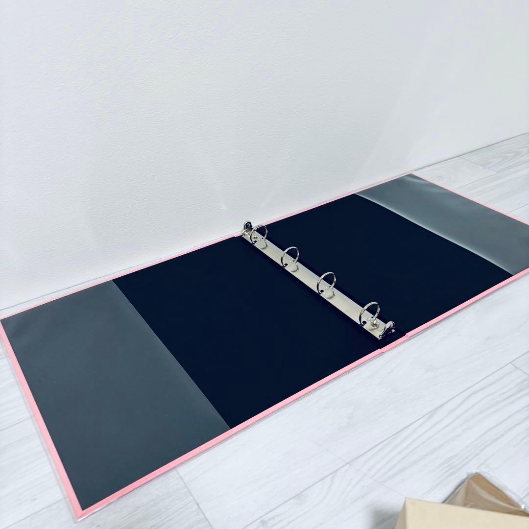 廃盤品　デルフォニックス　アルバム　Lサイズ　2冊　リフィル40枚セット