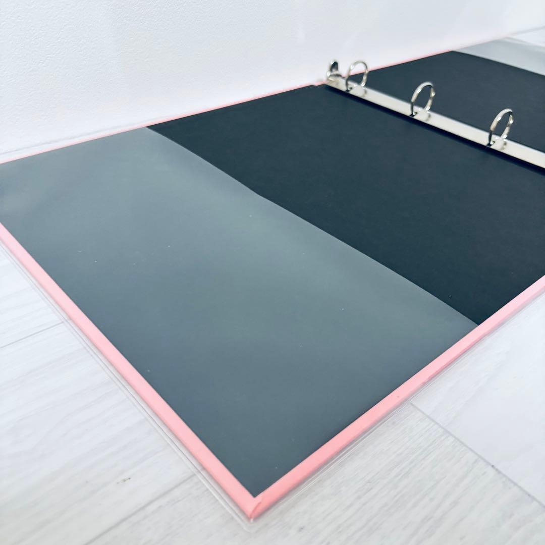 廃盤品　デルフォニックス　アルバム　Lサイズ　2冊　リフィル40枚セット