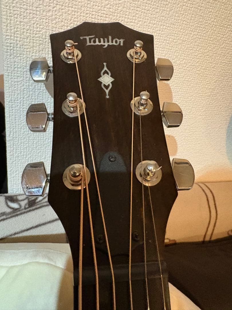 meromu　光栄堂　taylor 314ce Vクラス　日本限定仕様