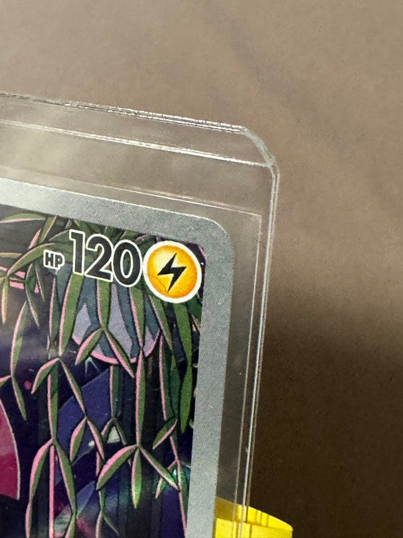 ポケモンカード　ミライドン　PROMO SV-P 048