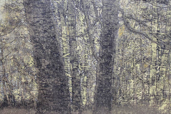 星襄一 【林の中】 1976年 木版画