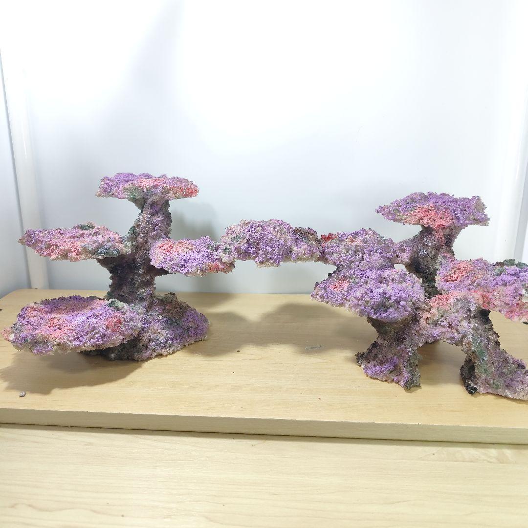 新品アク抜き不要 分離型人工ライブロック 60cm海水水槽用 レプリカ 多孔質2