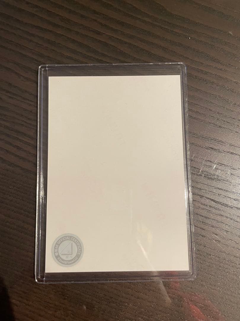 櫻坂46直筆 上村莉奈ヨリ　2022年クリスマスサンタ衣装