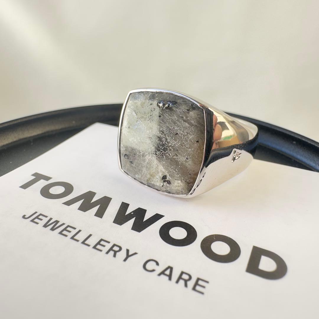 【極美品・定価8.45万円・g58(18)】 Cushion Larvikite