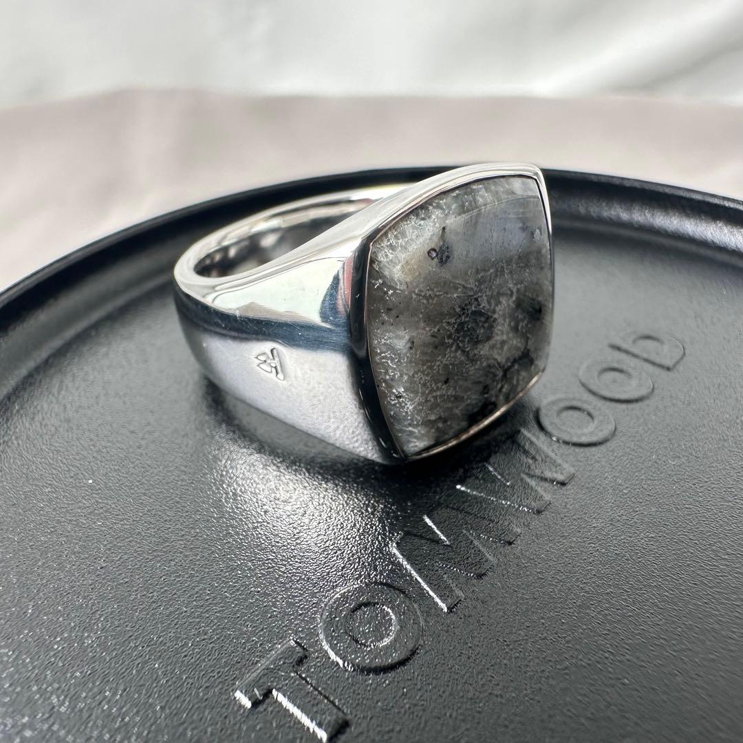 【極美品・定価8.45万円・g58(18)】 Cushion Larvikite