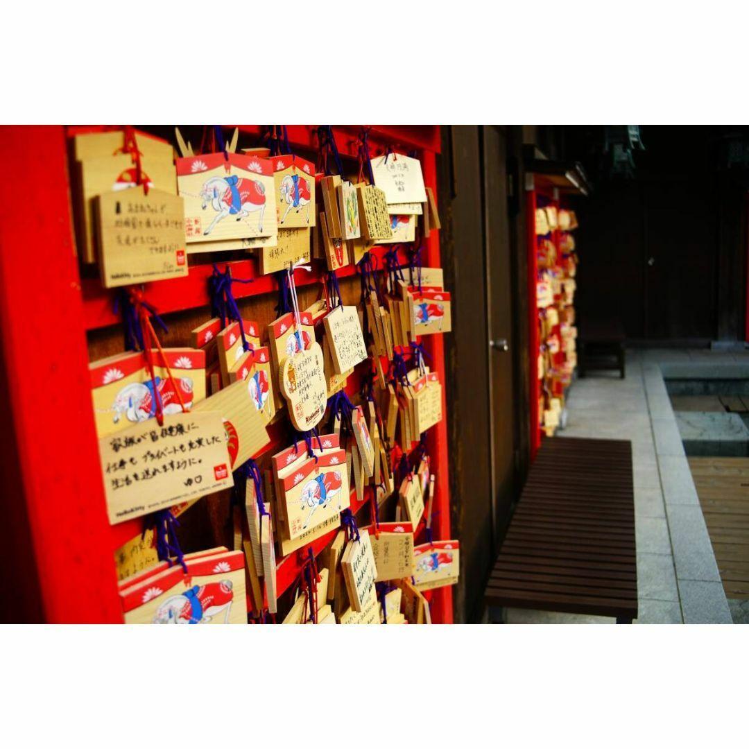 【良品/作例】Nikon AF 35-70mm F3.3-4.5 Zoom