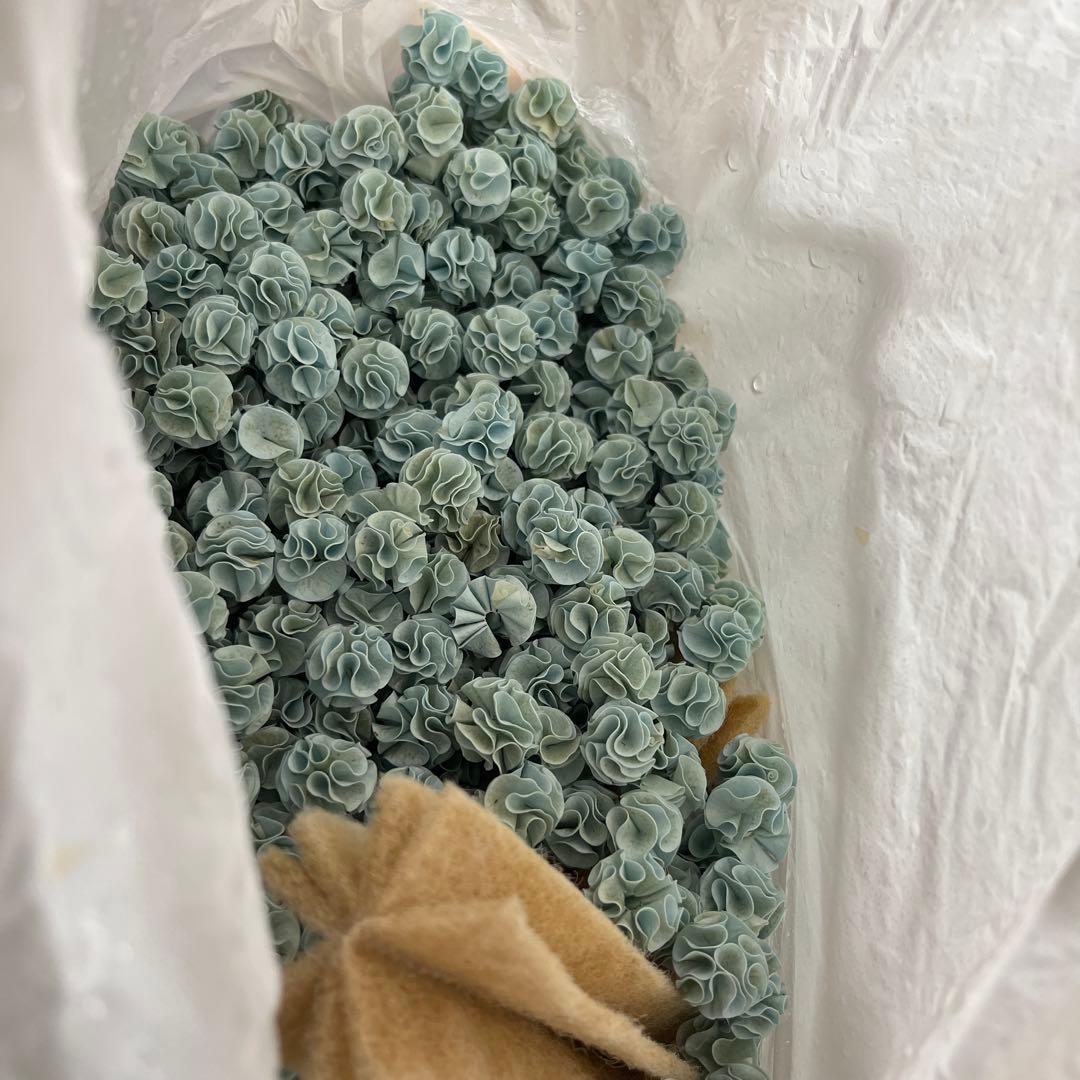 早い者勝ち！！アクリル水槽用パーツと照明器具セット