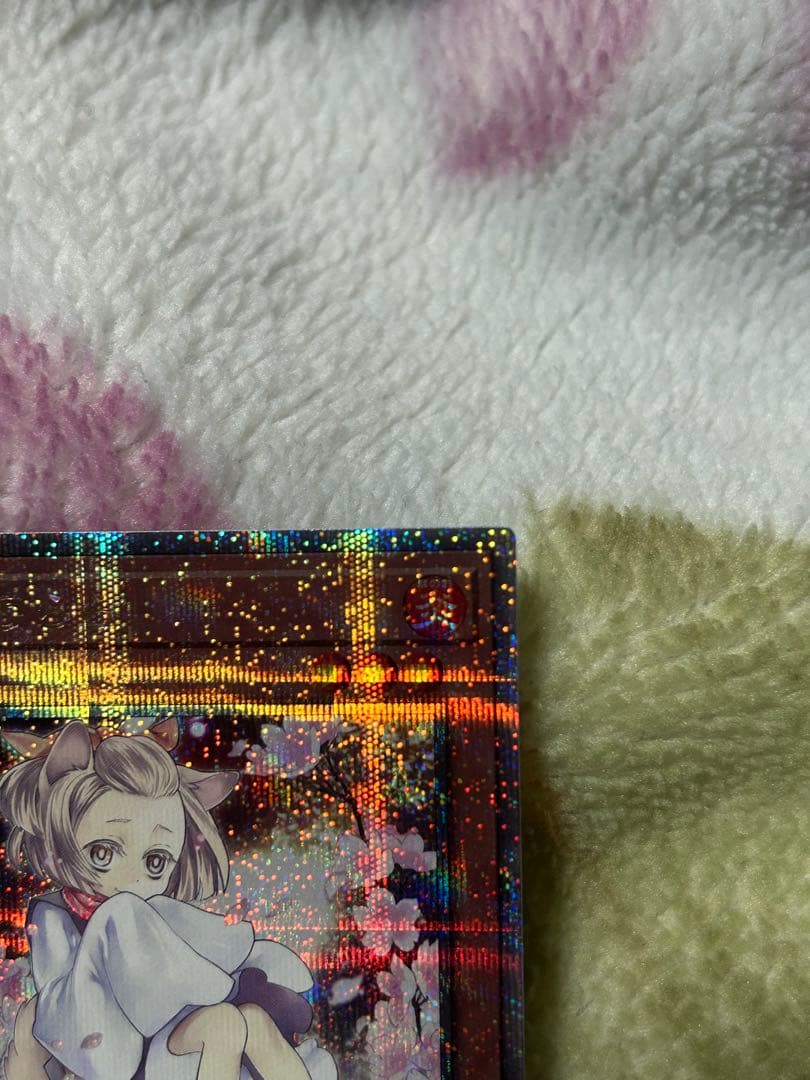 【美品】遊戯王 灰流うらら 25th