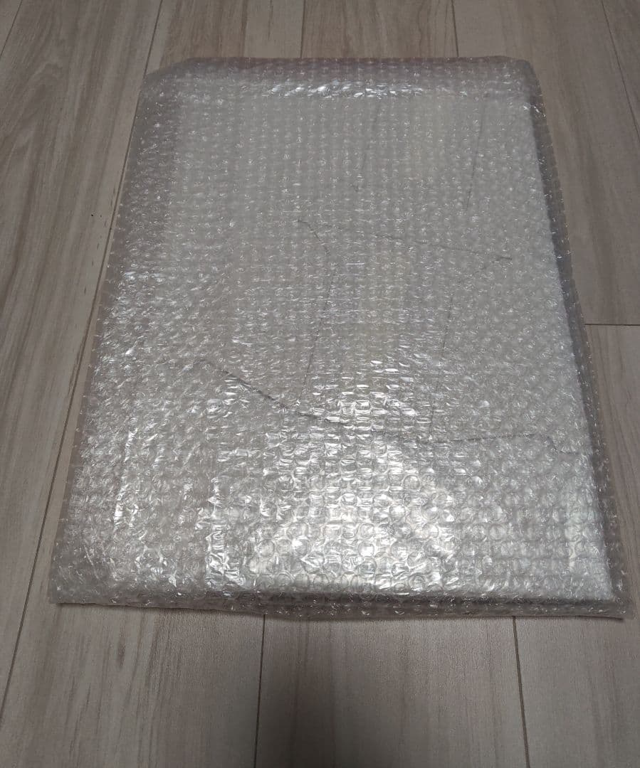 鏡の中のプリンセス　サシャ・フローレス